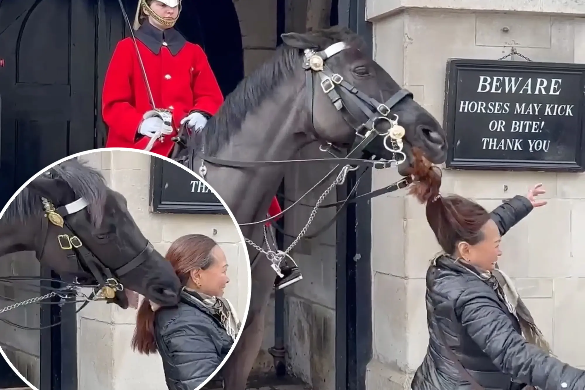 A tourist bitten by a King’s Guard horse in London