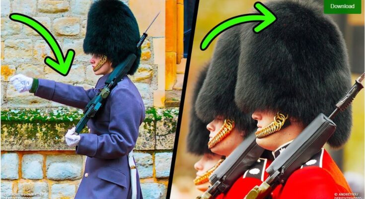 The Queen’s Guard: Debunking Myths and Revealing Secrets